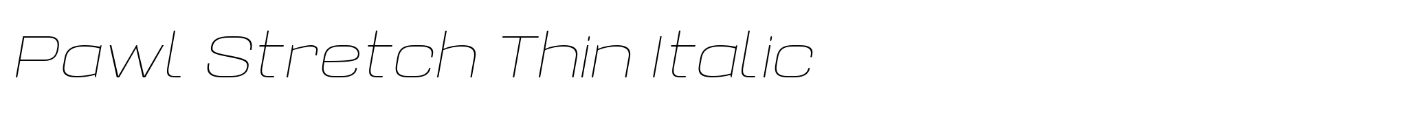 Pawl Stretch Thin Italic image